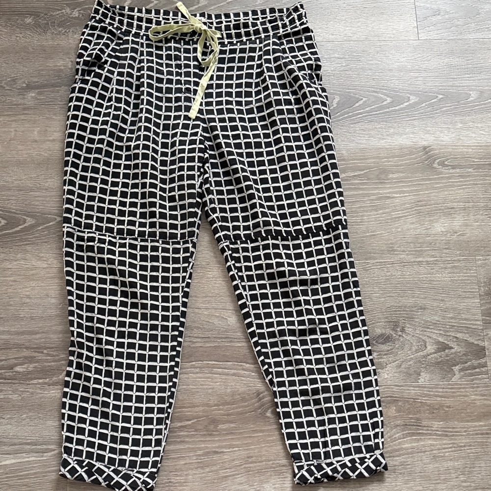Wilfred 💯 % silk pants
